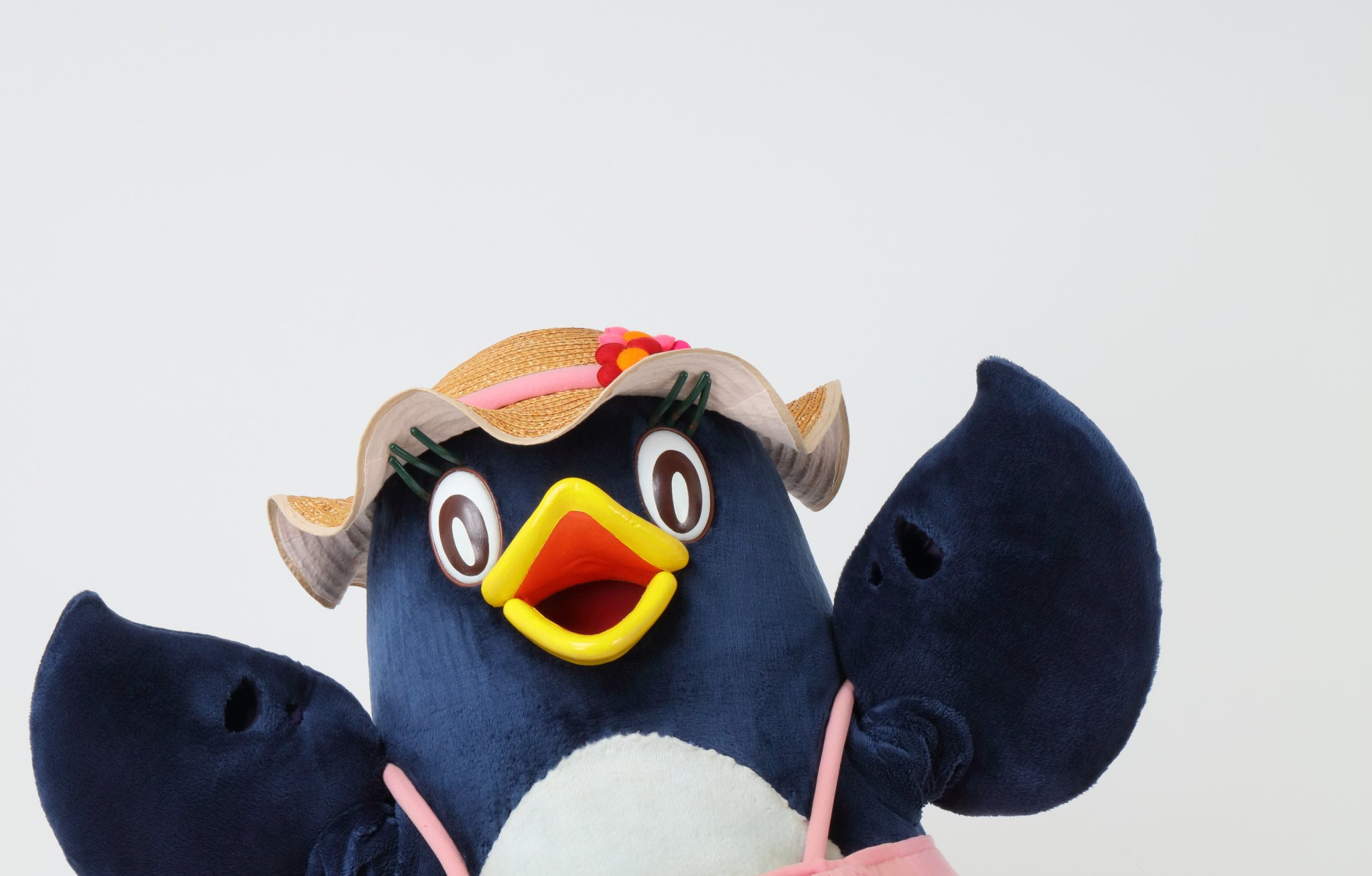 GMD93AEaIAAuCS0.jpg:large