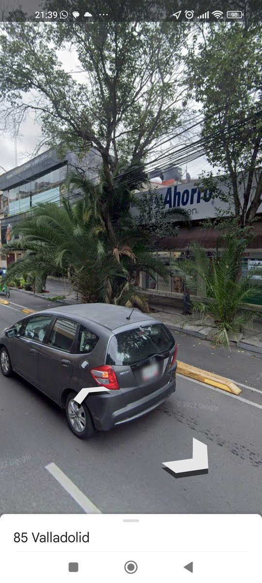 Leo_Colunga's tweet photo. @SEDEMA_CDMX Buenas noches. Con ustedes puedo reportar la poda de arbustos y plantas que son obstáculos para los que usamos la ciclovía de la calle de Valladolid, en la colonia Roma. Es en el cruce de Valladolid y Tabasco; también más adelante, pasando Durango, hay otro https://t.co/7SDUUPTICt