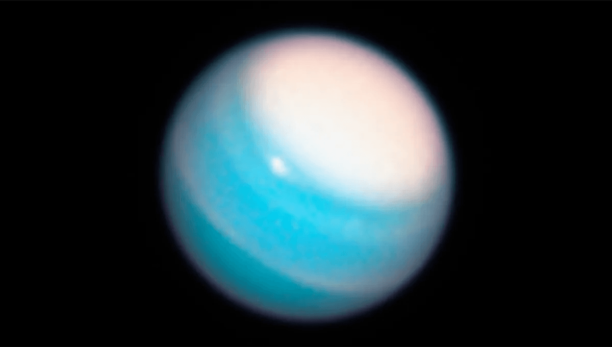 From @IFLScience: #Uranus May Be Filled With A Lot More #Methane Than We Thought

ow.ly/cGsU50RozwQ

#spacenews #perthnews #wanews #communitynews