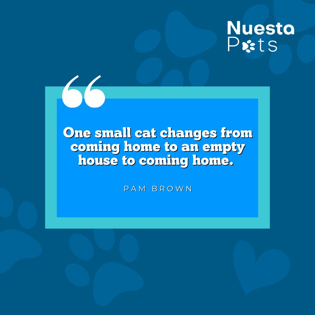 It is incredible how much love a fur baby can give.🐈

Taking care of your pet starts with choosing the right products. ✨

#pawsome #animals #ilovemypet #nuestapets #happypetsmakehappyhumans #thenuestaway #animallover #loveisafourleggedword #petlove #petsandpals #furryfriend
