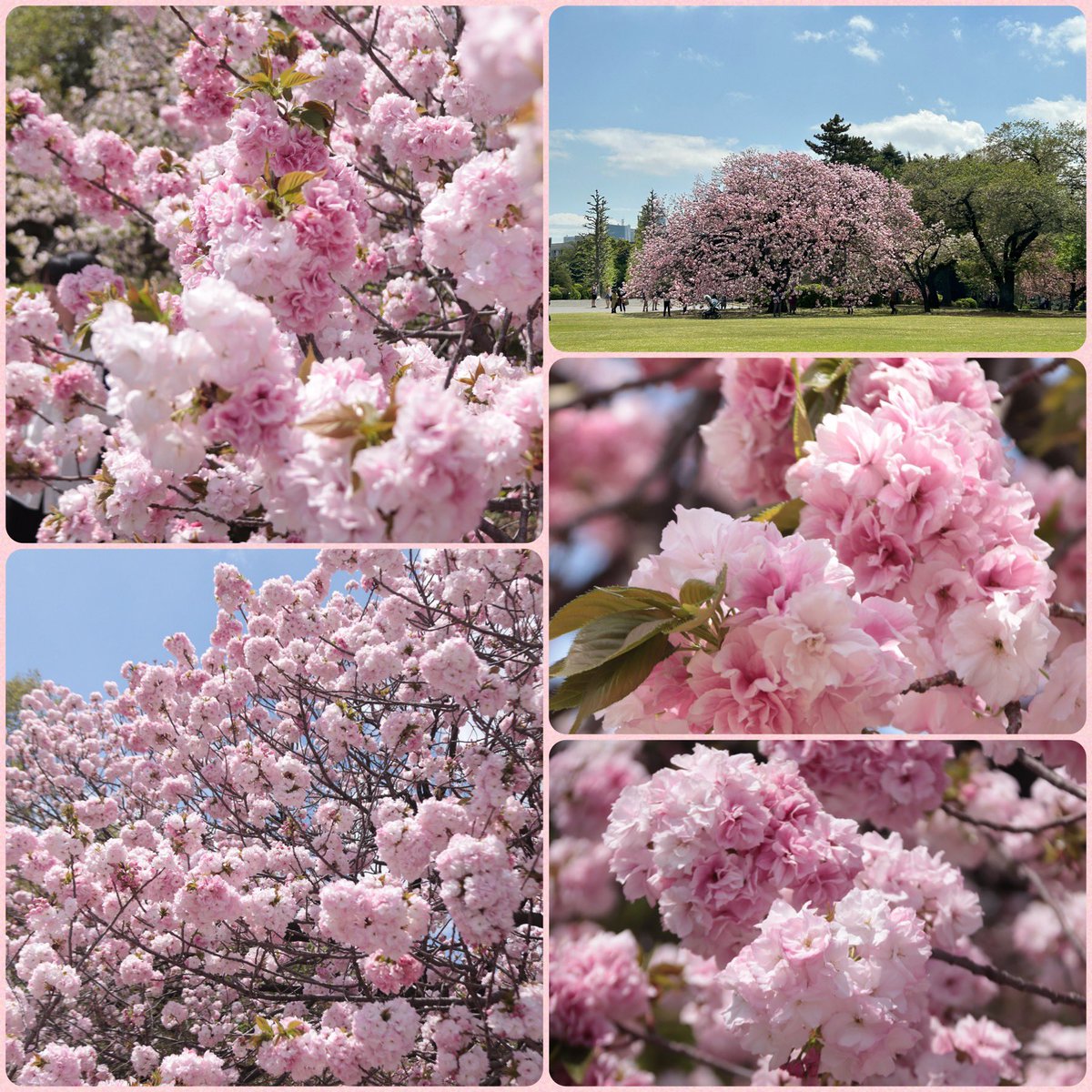 にょろりさま売約済バレッタ〈Bouquet・グレイッシュピンクな にょろりさま売約済バレッタ〈Bouquet・グレイッシュピンクな