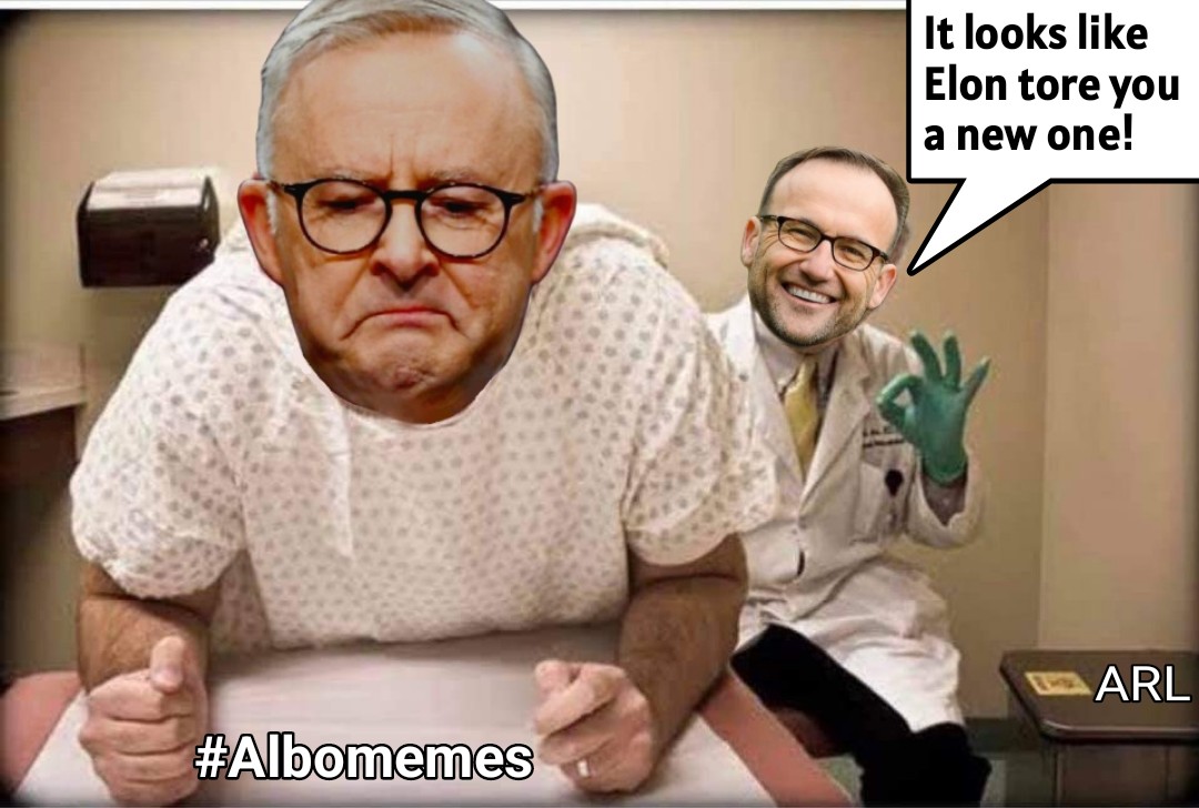 #AlboMeme
#AlboMemeDay