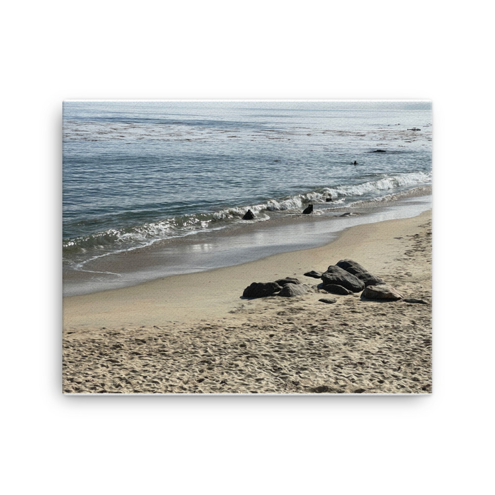 Monterey Bay B Canvas (16″ x 20″ and 18″ x 24″) pastasworld.com/product/monter… #canvasprint #oilpainting #16x20canvasprint #18x24canvasprint #canvas #picture #painting #photography #nature #homedecor #beauty #independentartist