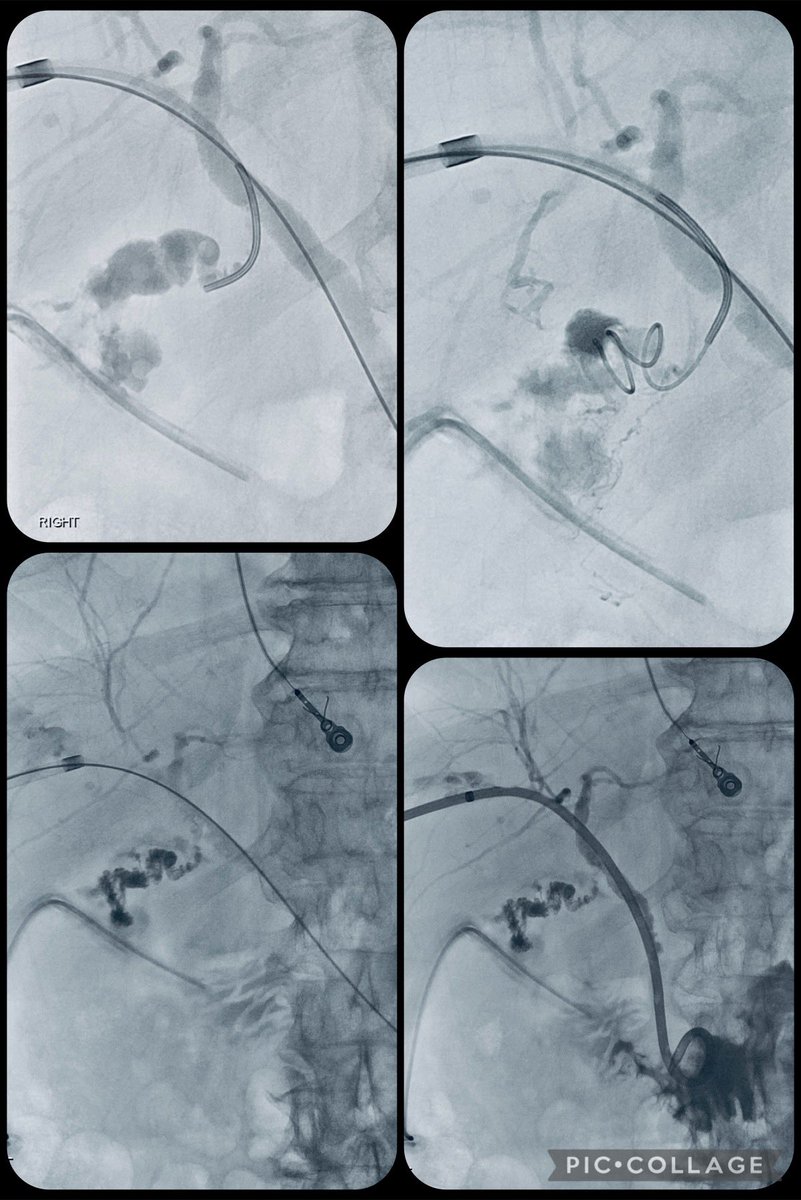 𝙍𝙖𝙠𝙚𝙨𝙝 𝙎. 𝘼𝙝𝙪𝙟𝙖, 𝙈𝘿 tweet media