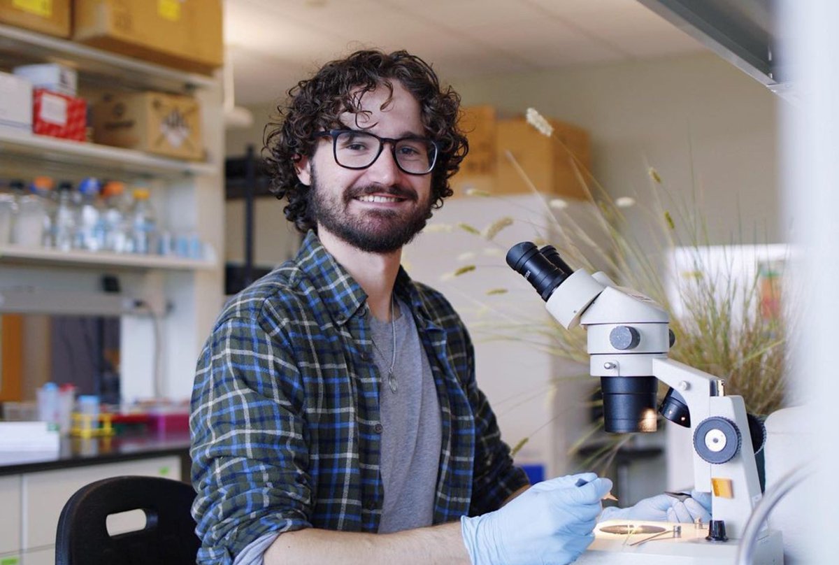 UVM Plant Biology (@uvmplantbio) on Twitter photo Guess who got the California Native Grassland Association (CNGA) -Grassland Research Awards for Student Scholarship (GRASS)... our grad student, Mark Mullinger. Mark’s project focuses on evolutionary relationships among Melica species. Congratulations, Mark!! @UVMCALS <a href="/uvmvermont/">University of Vermont</a> Guess who got the California Native Grassland Association (CNGA) -Grassland Research Awards for Student Scholarship (GRASS)... our grad student, Mark Mullinger. Mark’s project focuses on evolutionary relationships among Melica species. Congratulations, Mark!! @UVMCALS <a href="/uvmvermont/">University of Vermont</a>