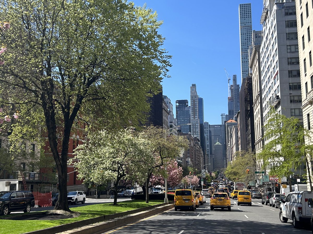 In Friday's new Bowery Boys podcast, a history of the wealthiest and most ventilated street in the United States. And often, it's also one of the loveliest.