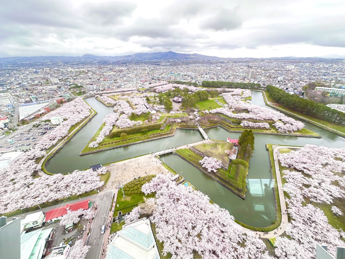 aoi_433's tweet photo. @toboggannn 五稜郭の桜撮っちゃう観光客 https://t.co/yRL155q7iZ
