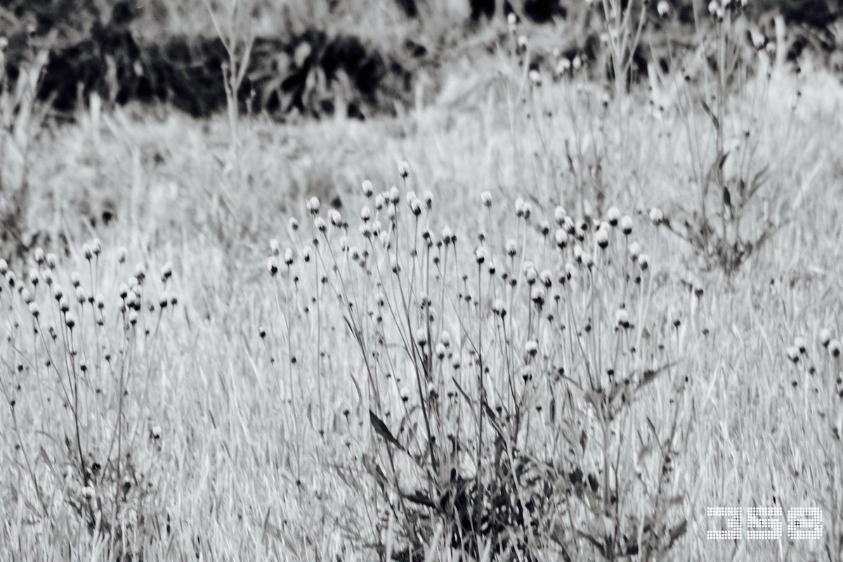 おはようございます☀