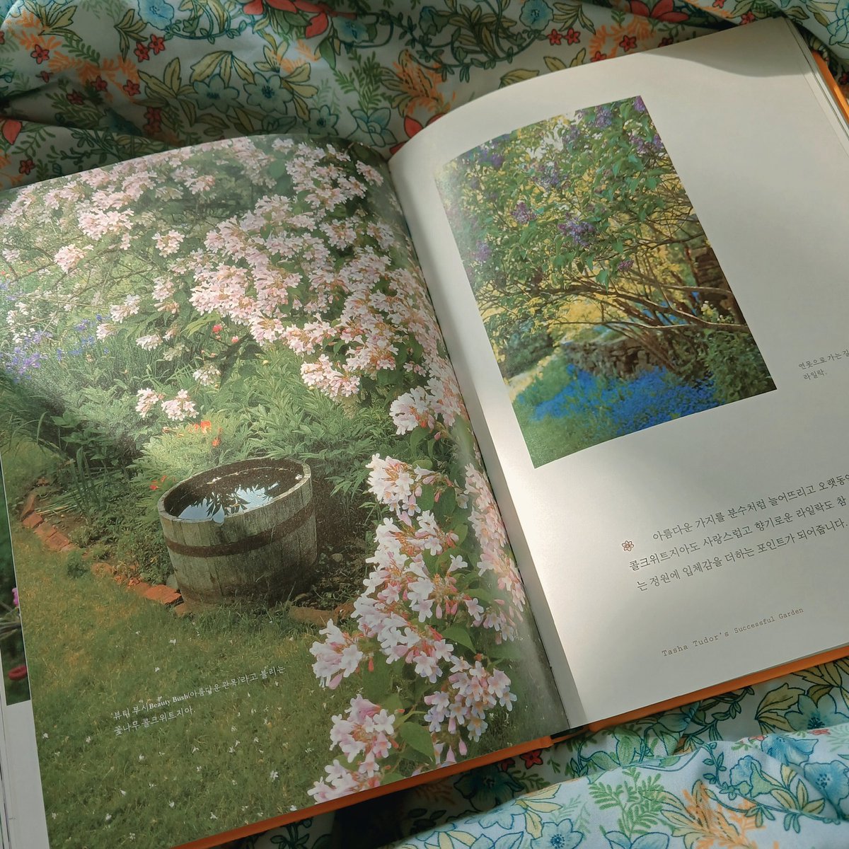 <타샤 튜더 나의 정원>, 2024
워너비 타샤 튜더 작가님의 따끈한 신작!
타샤 튜더 정원의 계절별&amp;특징별 식재 구성, 재배 팁 등을 예쁜 정원 사진과 함께 보여준다. 이미 표지부터 정원희망러의 감성을 자극하여 소장가치가 넘친다고 생각함🥹
가장 놀라웠던 것은 이곳도 겨울에 영하 30도라는 것...