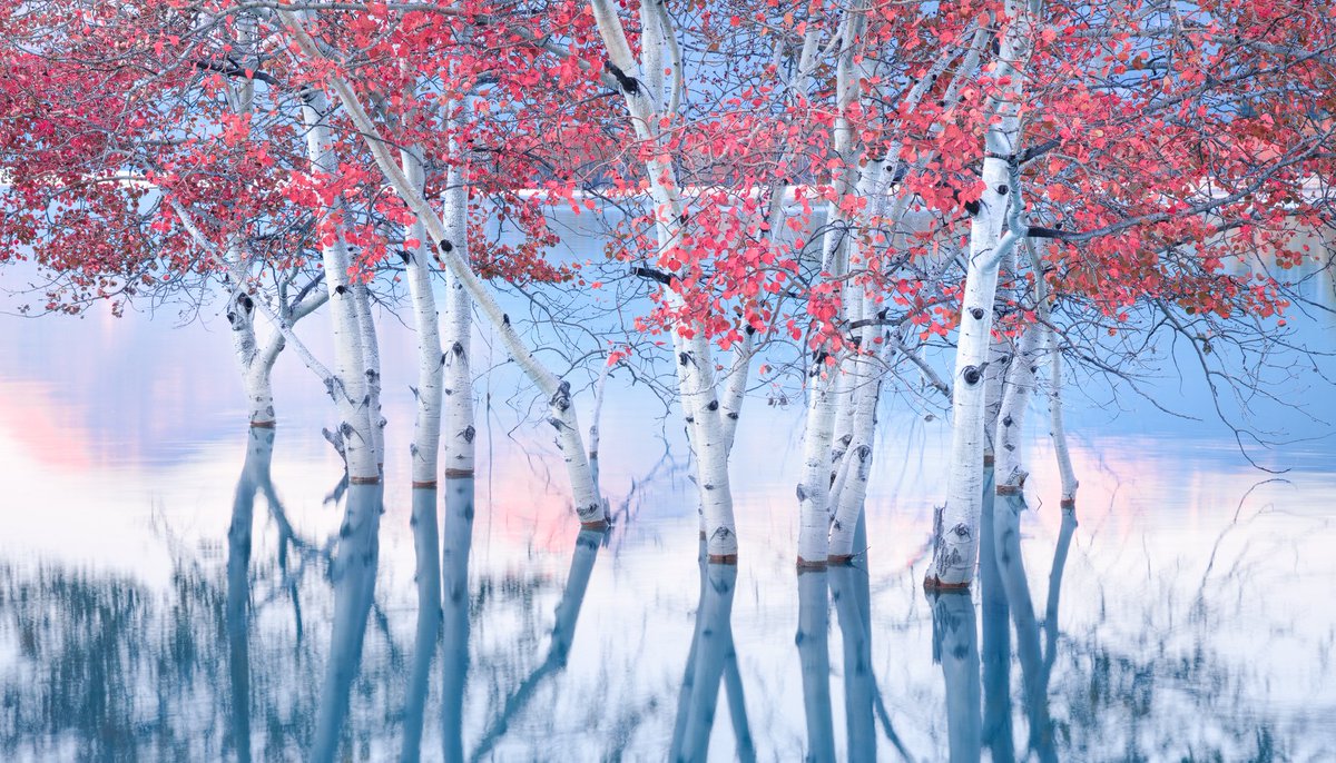 "Fire and Water"
Abraham lake, Canadian Rockies