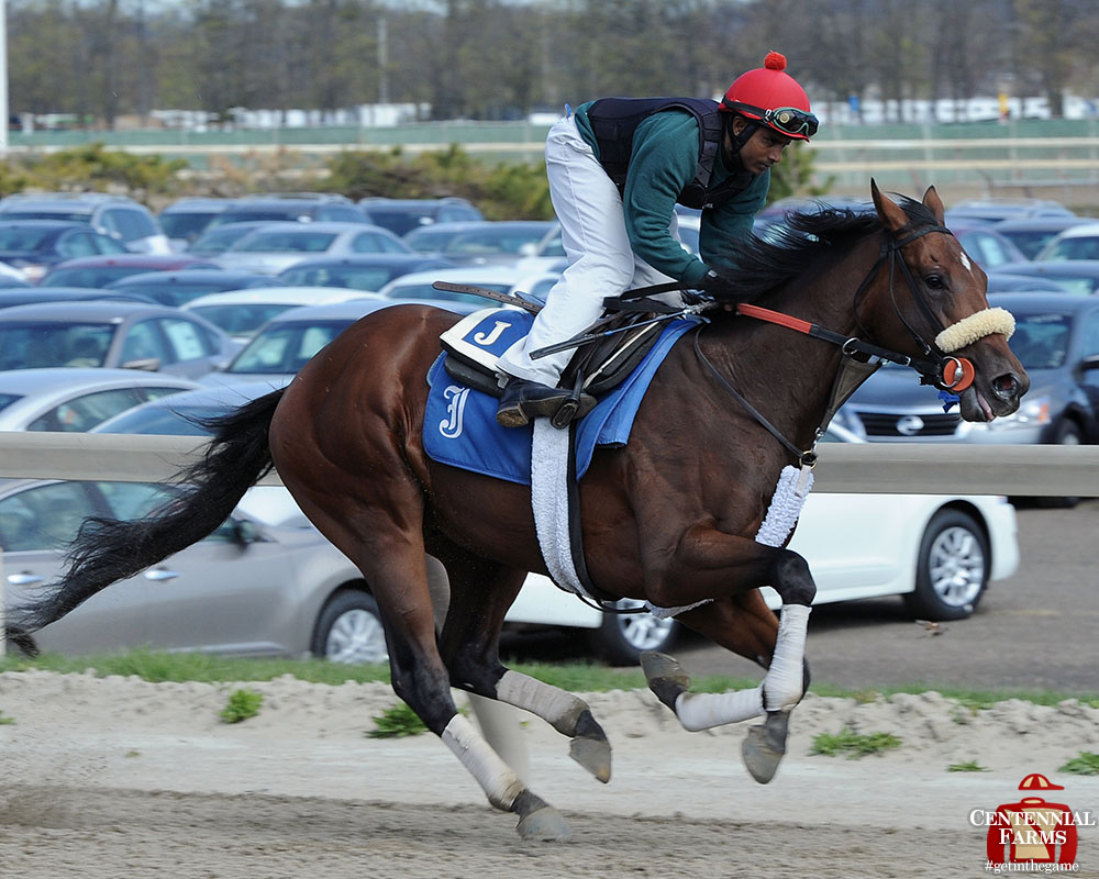 Miss watching this guy roll! #ThrowbackThursday to Wicked Strong (and Kelvin Pahal) breezing at #BelmontPark 10-years-ago today. He left for the #KYDerby the next day, where he'd run a huge 4th after stumbling out of the far outside post. He's now one of the leading sires in PA!