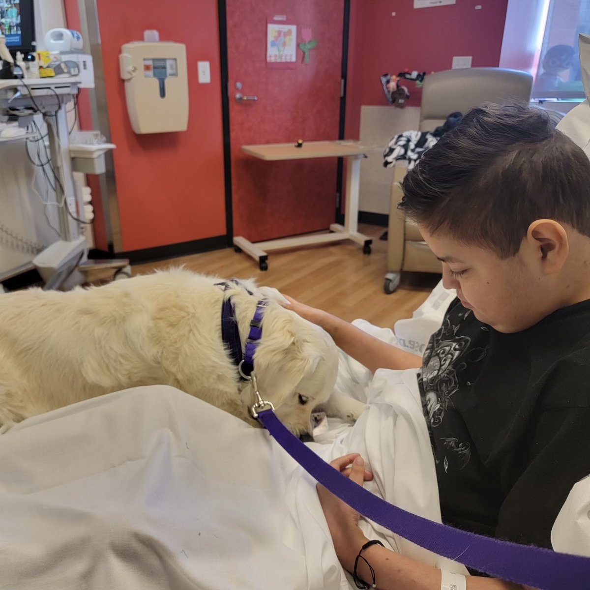 Jayden and his mom say that therapy dogs have been an essential part of their hospital experience. “We’ve been here a long time. There have been really hard days, a lot of waiting. The dogs give us the feeling of home,” says Jayden’s mom. Jayden is a recipient of a heart and…