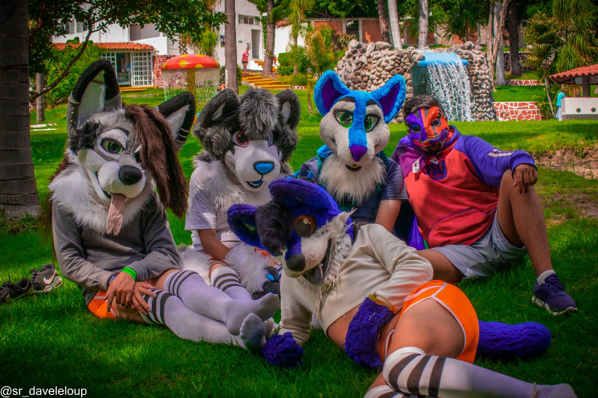 SrDave_LeLoup's tweet photo. Pic from almost a year ago taken during #CampamentoFurcan with @sadcat16hrz ,@DermicHunterFox using @HMRtuti 's suit, @ValianIsil and @tastyraptor! https://t.co/HaLPTUrySX