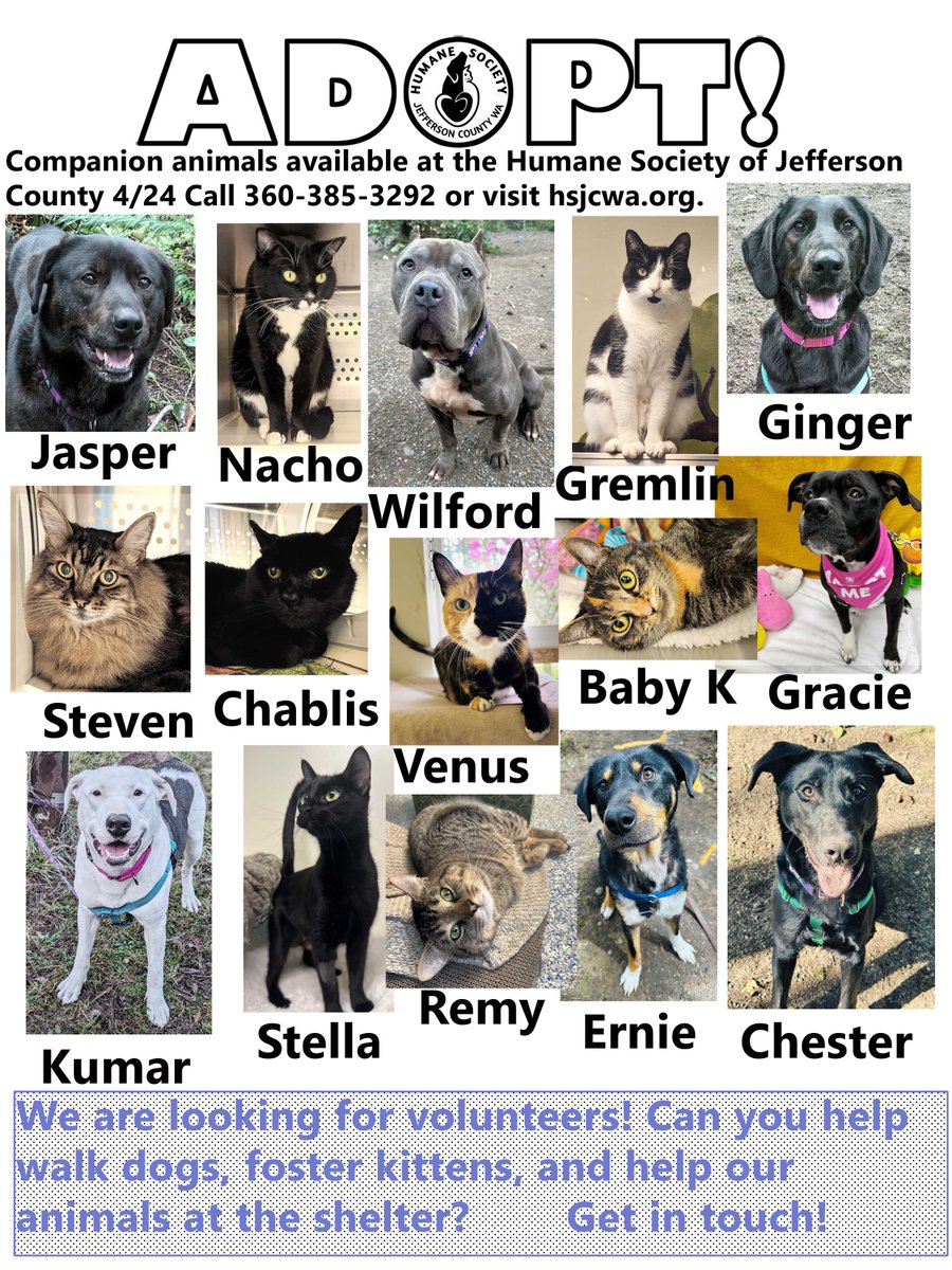 HumaneSociety JeffCo tweet media