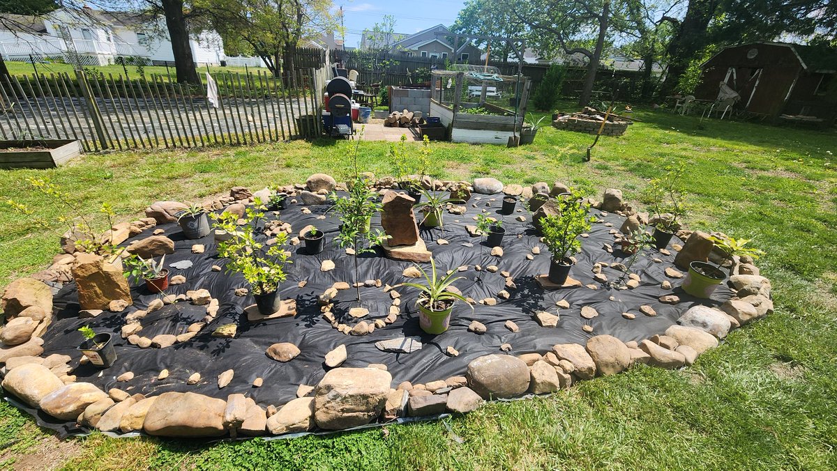 Project Today, Rock Garden Around The Fruit Trees.