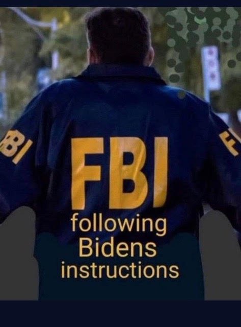 @JackPosobiec 🖕 the FBI they no longer work for the people