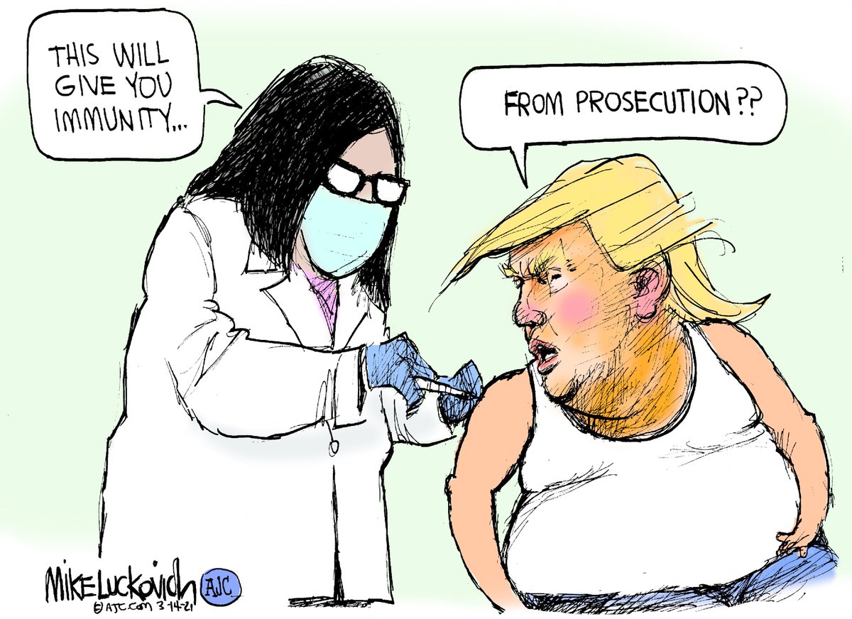 Mike Luckovich,ajc.com @mluckovichajc #TrumpTrials #Immunity