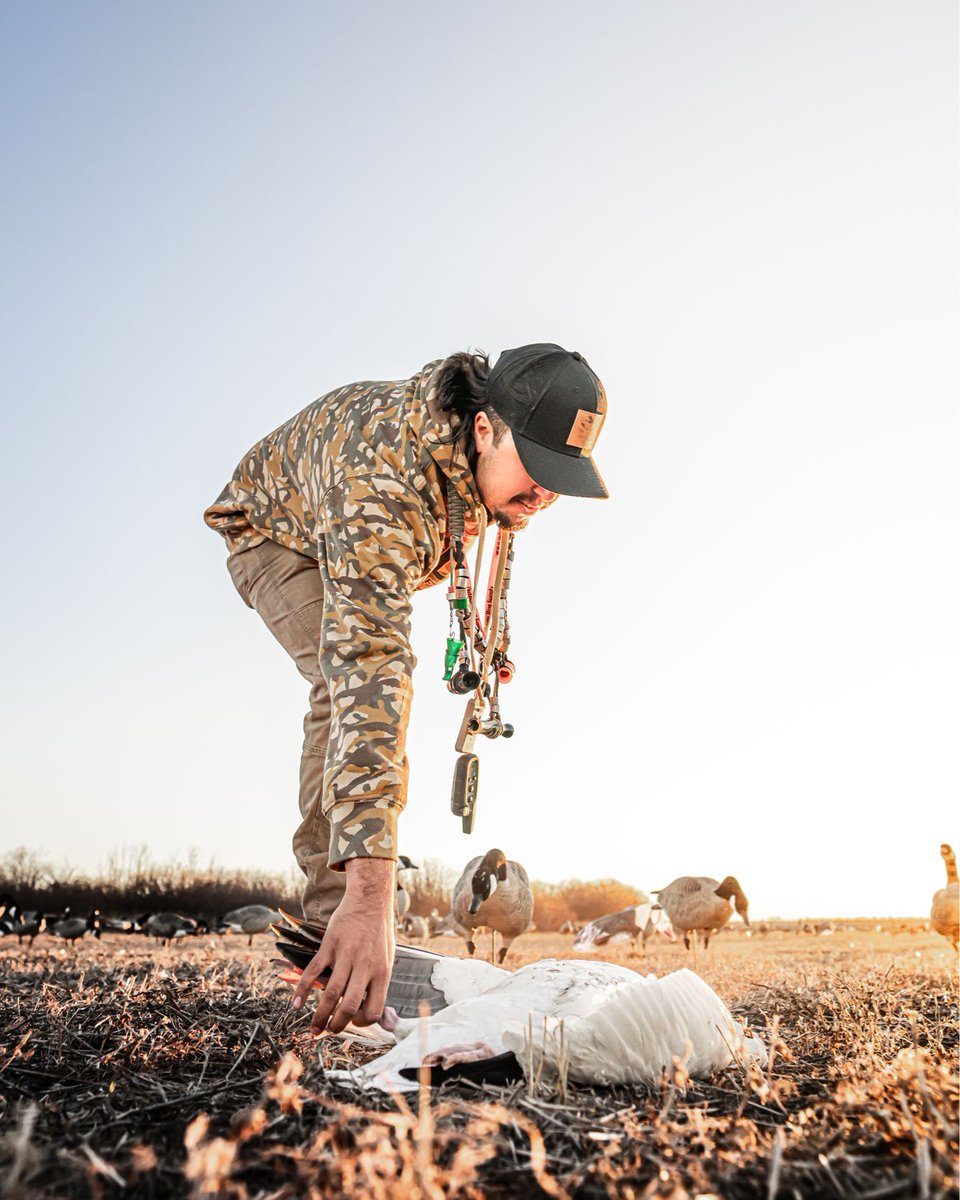 These views can’t come soon enough 

#dux • #duxwaterfowl • #thenextgeneration • #ihuntdux