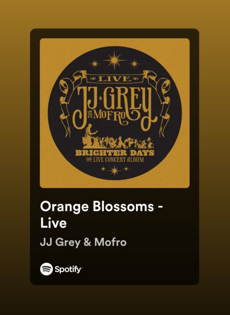 Long-standing, hands down, most favorite song from the amazing @JJGREYandMOFRO & his phenomenal band!!!  🎶🍊🎶
open.spotify.com/track/0ydeTGDB…