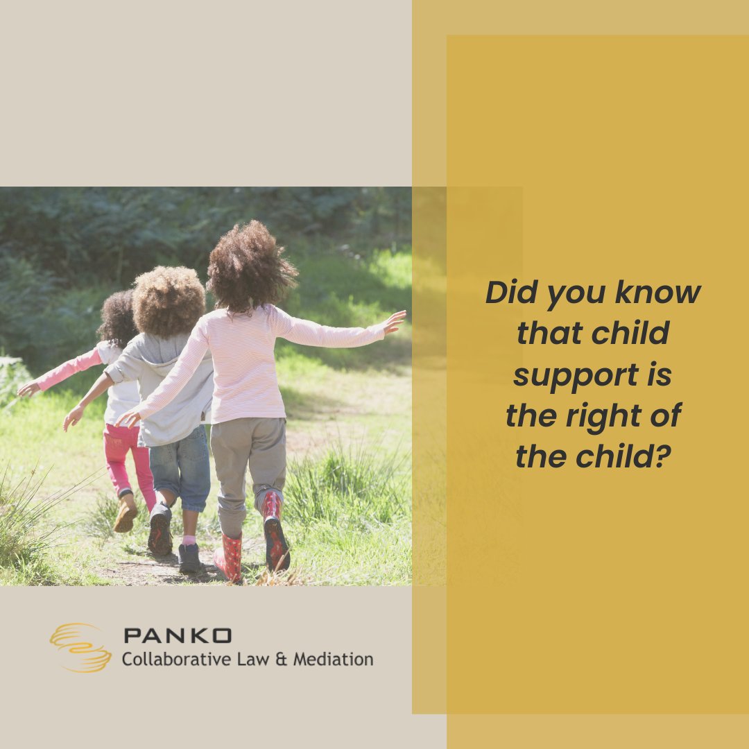 For assistance with child support agreements, contact our office:
306-975-7151
admin@commonsenselawyer.com
#childsupport #rightofthechild #legalservices #agreements #lawyers #familylaw