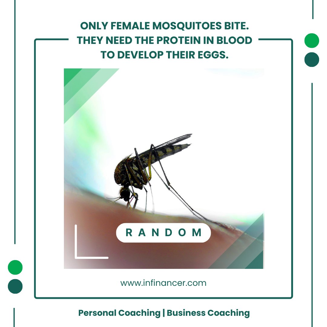RANDOM FACT: Only female mosquitoes bite. They need the protein in blood to develop their eggs. #randomfacts #iykyk #facts #random #nowyouknow #funfacts #ifyouknowyouknow