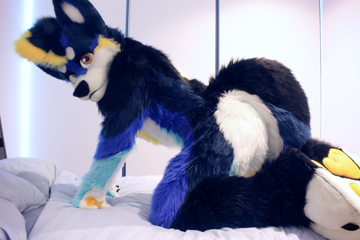 Quote RT your fursuit butt 😎