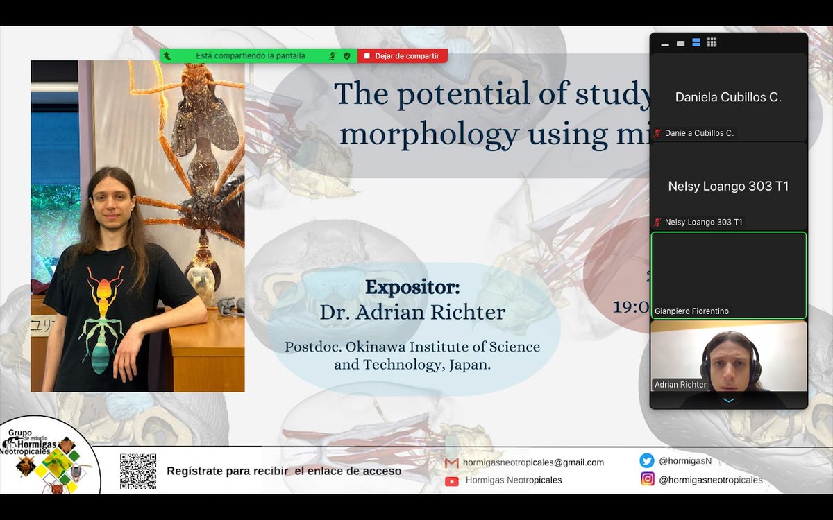 Hormigas Neotropicales tweet media