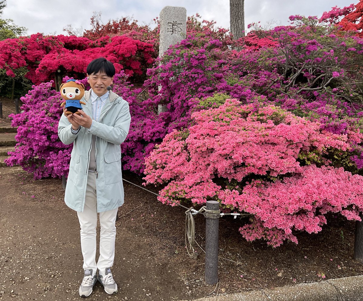 テレビ朝日グッドモーニングのお天気コーナーで、つつじが岡公園が放送されました！
依田さん、ありがとうございましたぽん！！