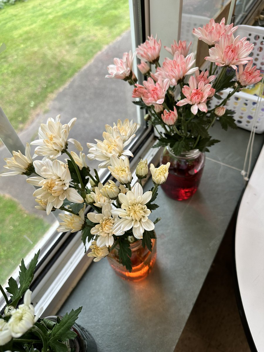 Mrs. Tuttle’s Classroom (@tuttlesclass) on Twitter photo This experiment is so awesome for showing students how water travels through a plant! We can’t wait to see what they look like tomorrow 🌱 🪴 <a href="/WSFCS_Science/">WS/FCS Science</a> This experiment is so awesome for showing students how water travels through a plant! We can’t wait to see what they look like tomorrow 🌱 🪴 <a href="/WSFCS_Science/">WS/FCS Science</a>