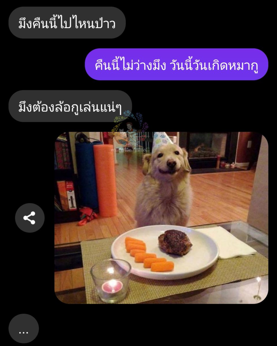 โทษทีนะเพื่อน วันนี้ไม่ว่างจริงๆ 😂😂😂