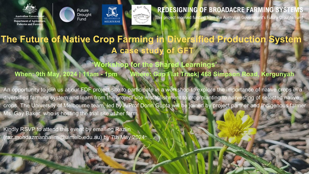 What is the future of #native #crop farming 🌱? Join us for a workshop on 9th May for shared learning from the experience at Gap Flat Track in NE Victoria. 👉RSVP to attend #futuredroughtfund #AusGov #AusAg #droughtresilience