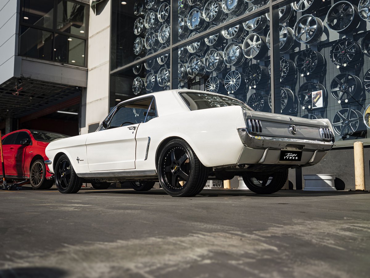 1965 Ford Mustang 🤍🤍🤍

Simmons FR-1
Full Satin Black
19 x 7.0 ET20
19 x 8.5 ET10

Kumho KU39 ECSTA
215/35R19
Kumho PS71 ECSTA
235/35R19

#ford #fordmustang #mustangs #vintagecars #classiccars #fordmustang1965 #simmonswheels #tempetyres