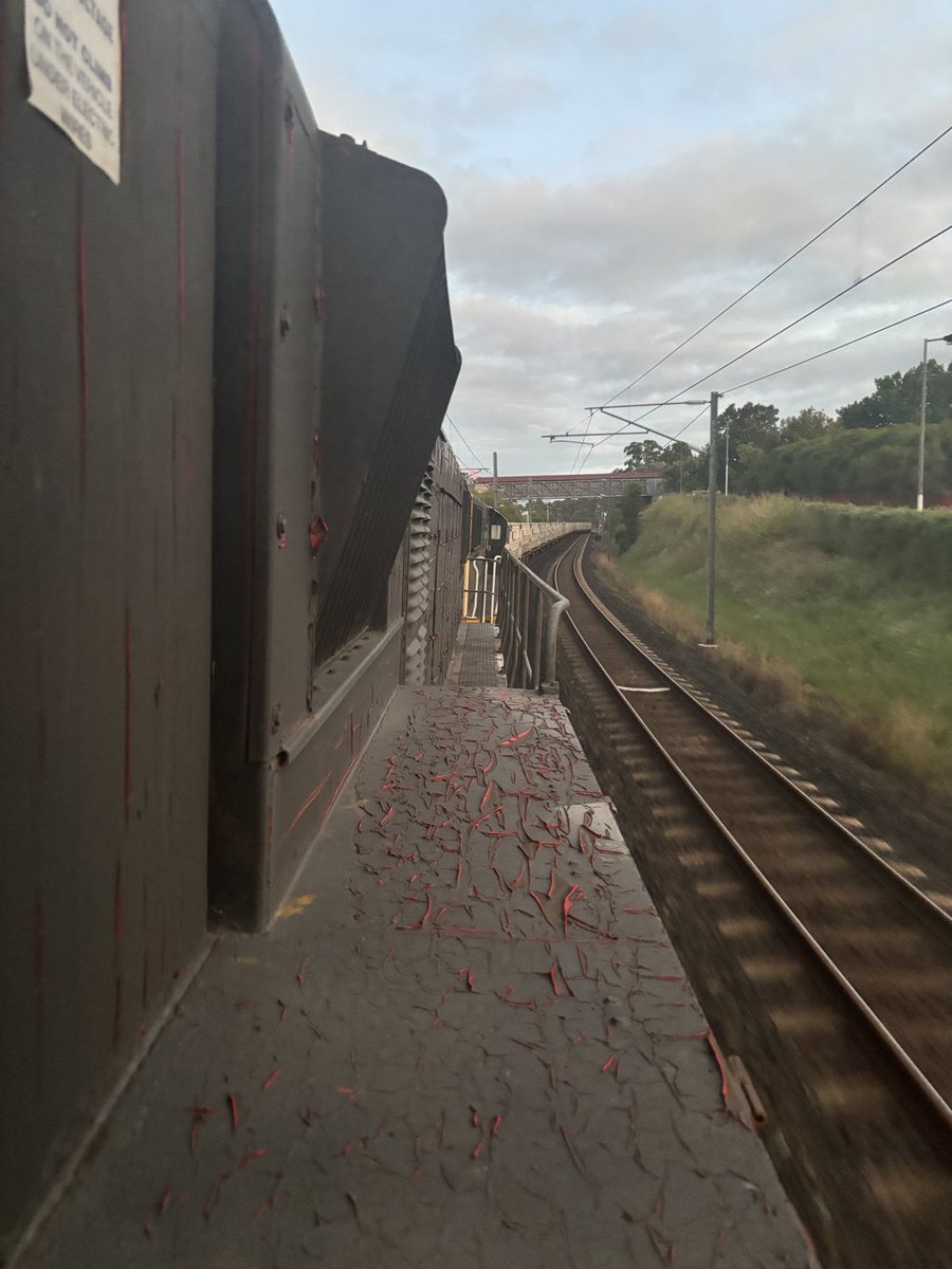 cattle_train's tweet photo. Big load of Winton/Longreach cattle into Teys Beenleigh (Holmview) this morning. Thanks for your business ⁦@TeysAustralia⁩ and thanks ⁦@QueenslandRail⁩ for getting us through the network ahead of time! https://t.co/hDTgELFOiy