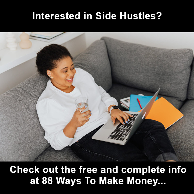Interested in side hustles? Check out 88 Ways to Make money at FreeSpeedReads.com/88-unique-ways… (#sideHustle, #homeBusiness, #microbusiness, #businessIdeas, #homeBusinessIdeas, #money, #makeMoney, #smallBusiness, #entrepreneur)