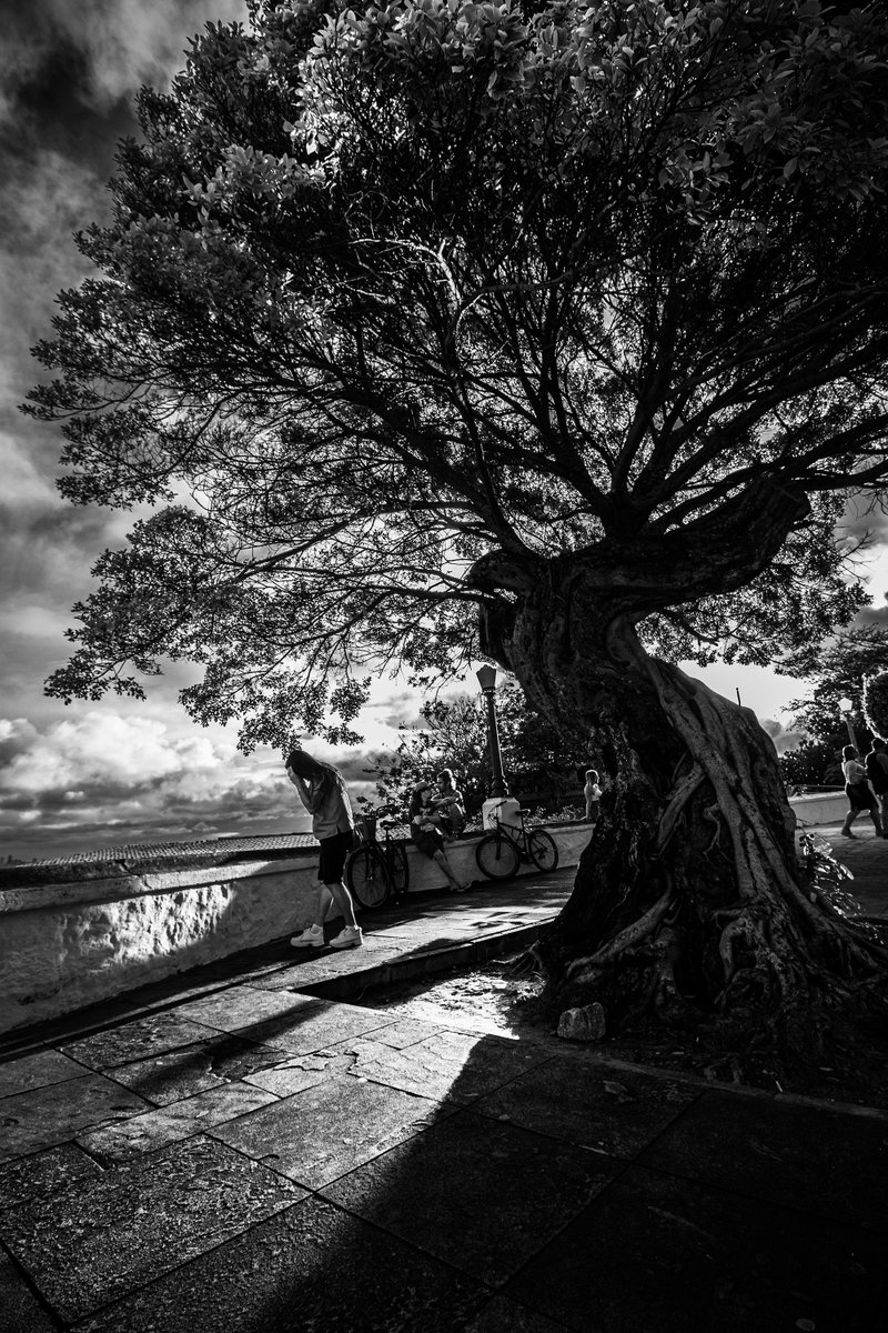 Tree of Life
.
.
#tree #nature #trees #photography #naturephotography #sky #landscape #forest #sunset #travel #clouds #sun #autumn
#streetphoto #streetphotographer #streetlife #life #blackandwhite #streetart #streetstyle #art #travel #travelphotography #olinda #recife