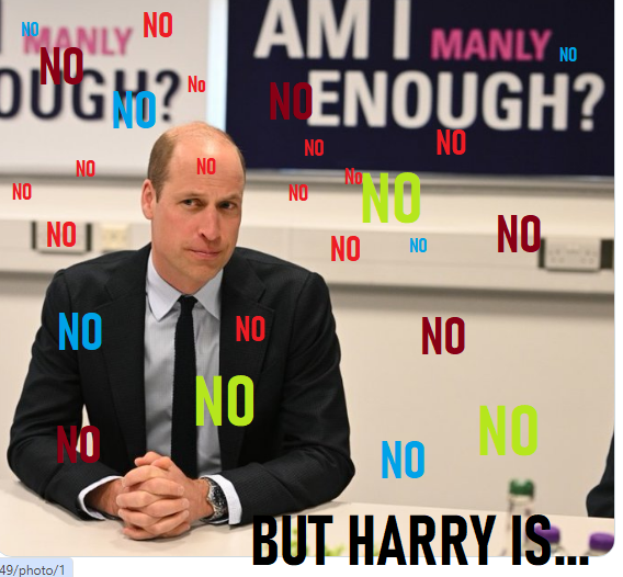 I think we all have our answer....#princewilliam #thatfamily #royalfamily #invictus #miketindall #jam #princeharry #meghan #americanrivieraorchard #highgrove #katemiddleton