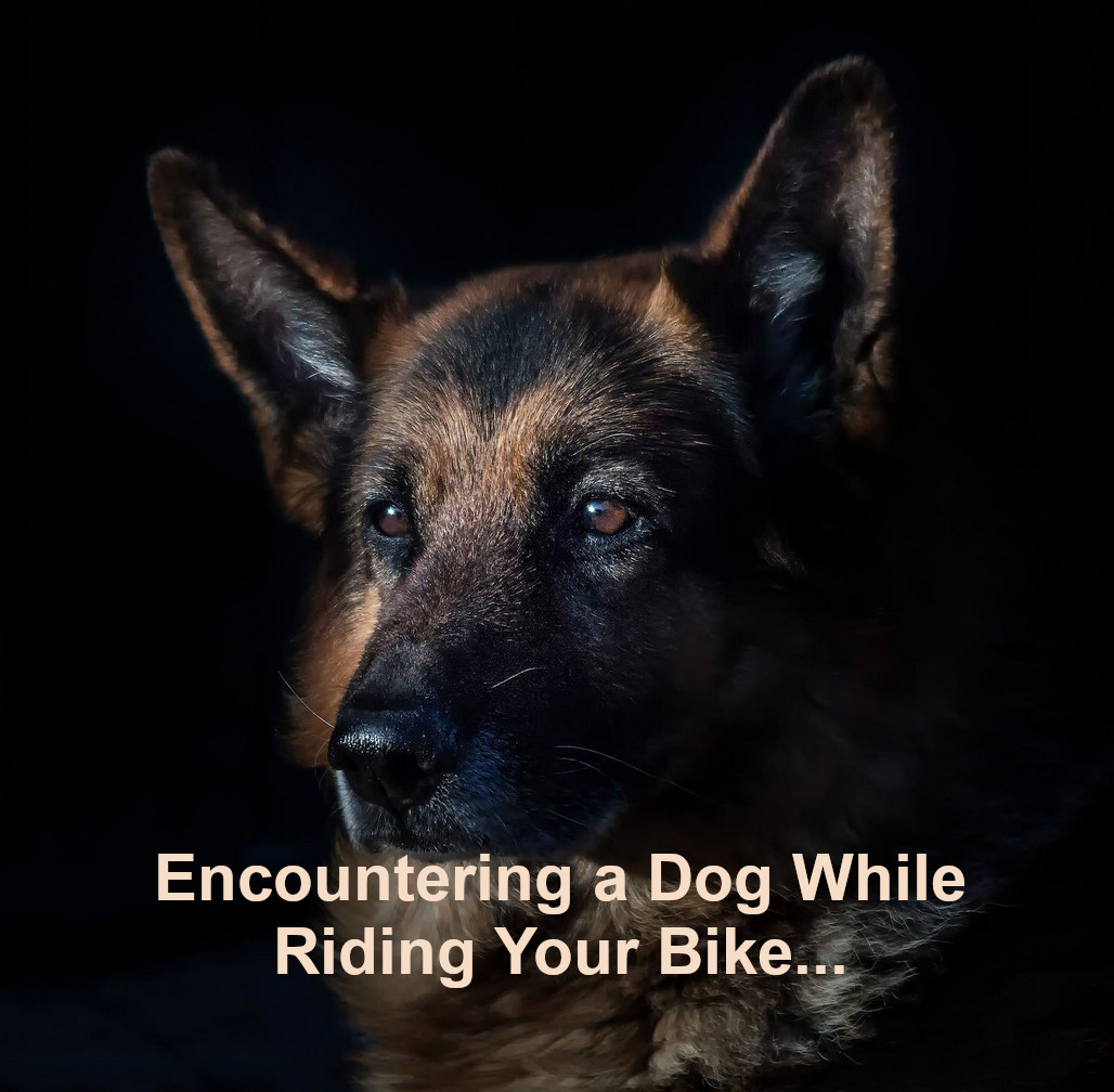 Here's what to do if you encounter a dog while riding your bike at FreeSpeedReads.com/encountering-a… (#dog, #bicycle, #bicycling, #cycling, #bikeRiding, #dogAttack, #dogTraining, #dogPsychology, #GermanShepherd, #Doberman, #meanDog, #angryDog, #animalPsychology, #bicycleSafety)