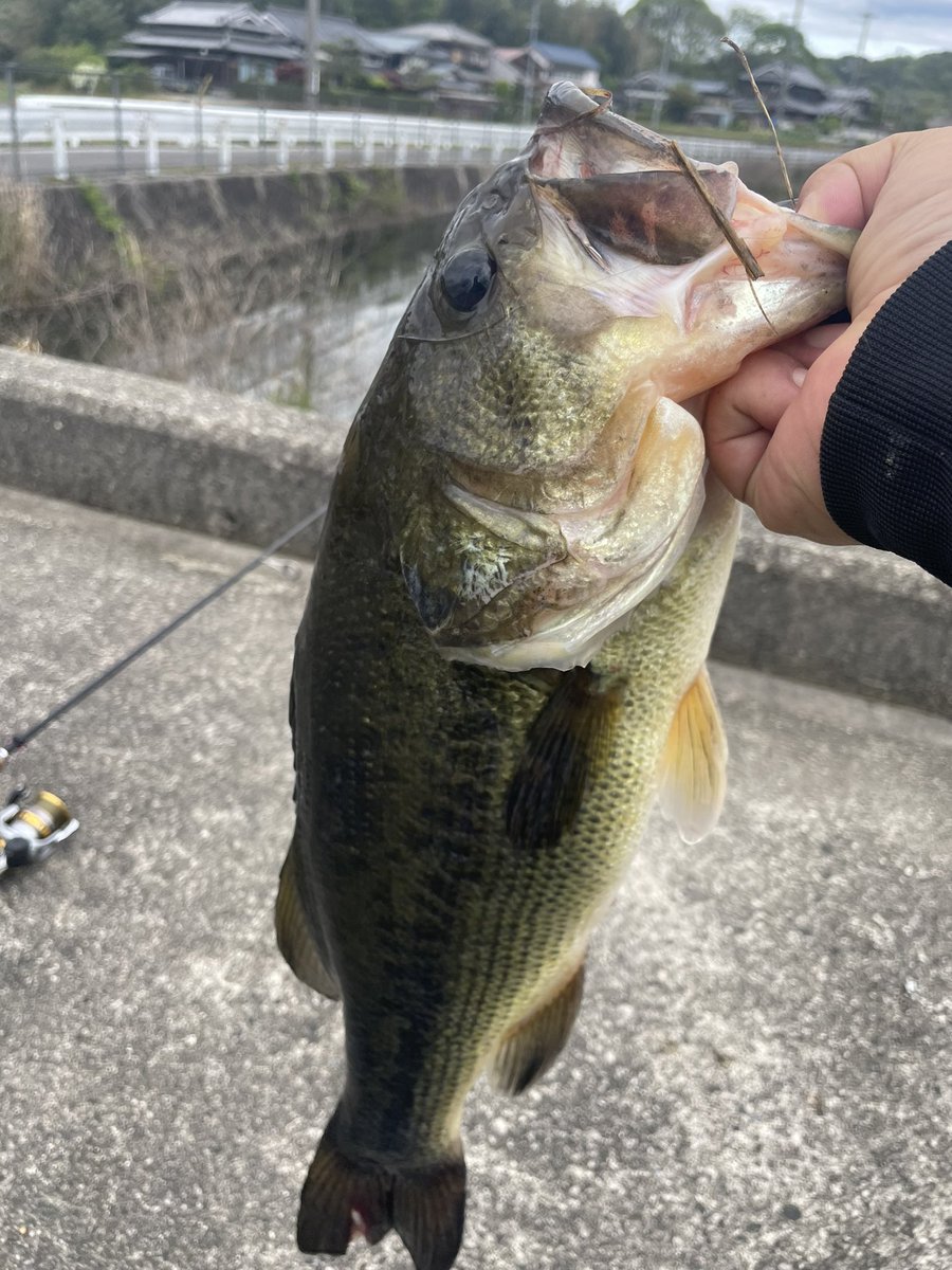 釣り仲間募集中