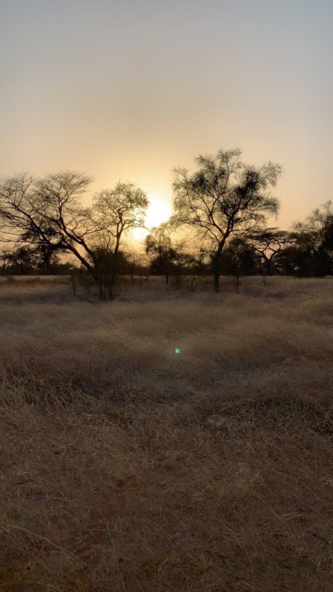 MustaphFall's tweet image. 