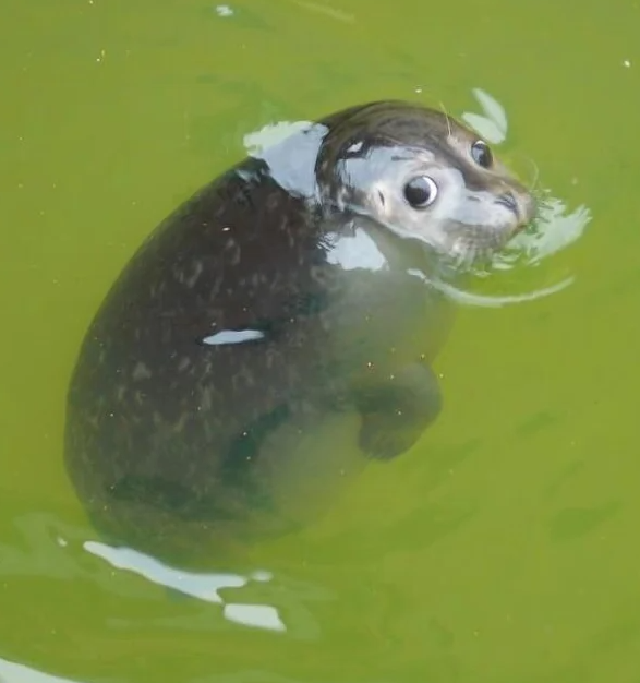 herny (@hernyed) on Twitter photo 