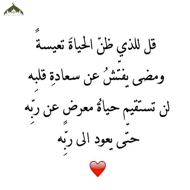 mohbaboo's tweet photo. https://t.co/qLo8EKGe5I