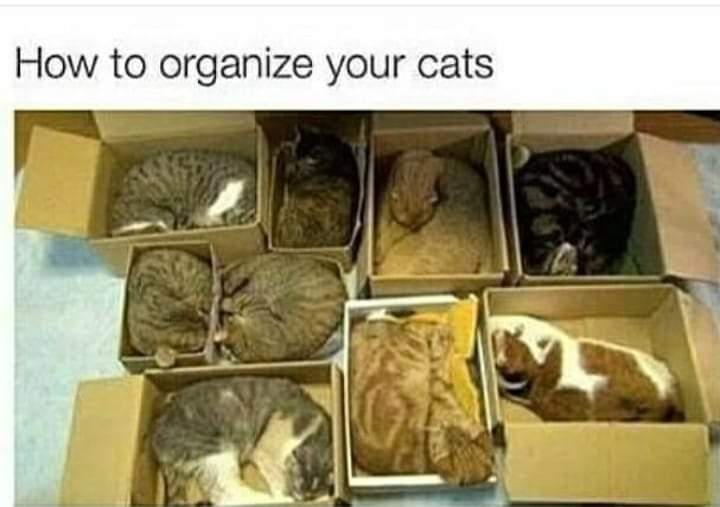 A3) Read and organize electronic files (so I can find things!) I learned it from having cats. #BizapaloozaChat