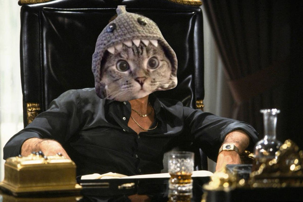 Lereal - wif 🚬🐔🐟 tweet media