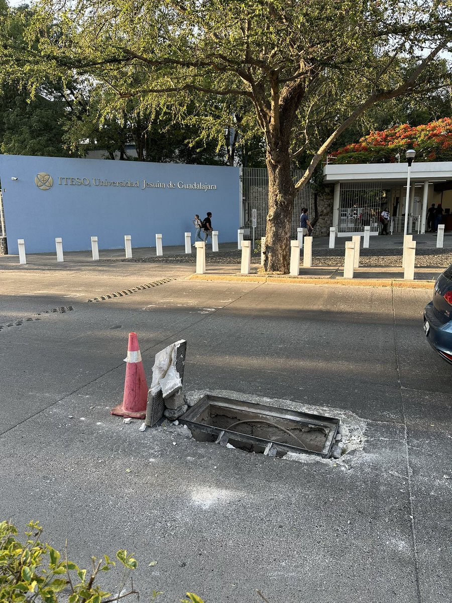 German Mitsuro tweet media