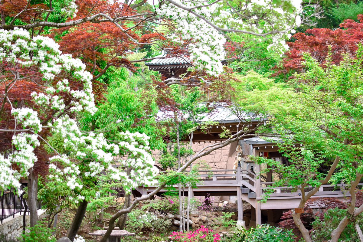 深大寺
#東京都 #調布市