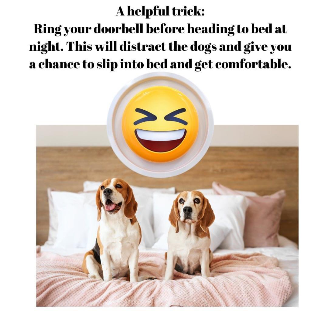 Has anyone tried this? LOL

#dfcadent #dogs #bedtime #doorbell #dogparents #dental #dentistry