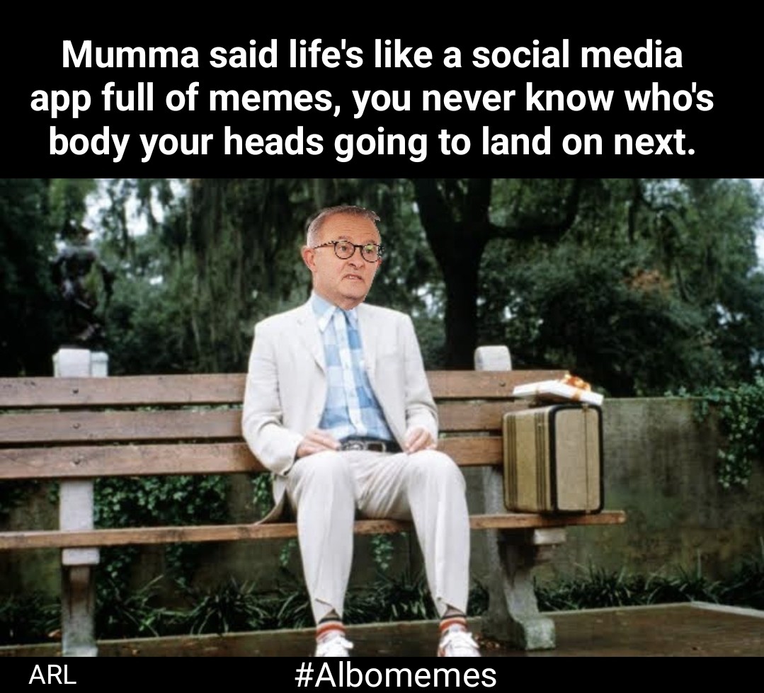 #Albomemes #AlboMemesDay