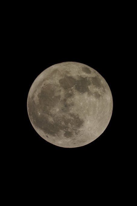 Me 🤝 the moon https://t.co/zKynydKhl4