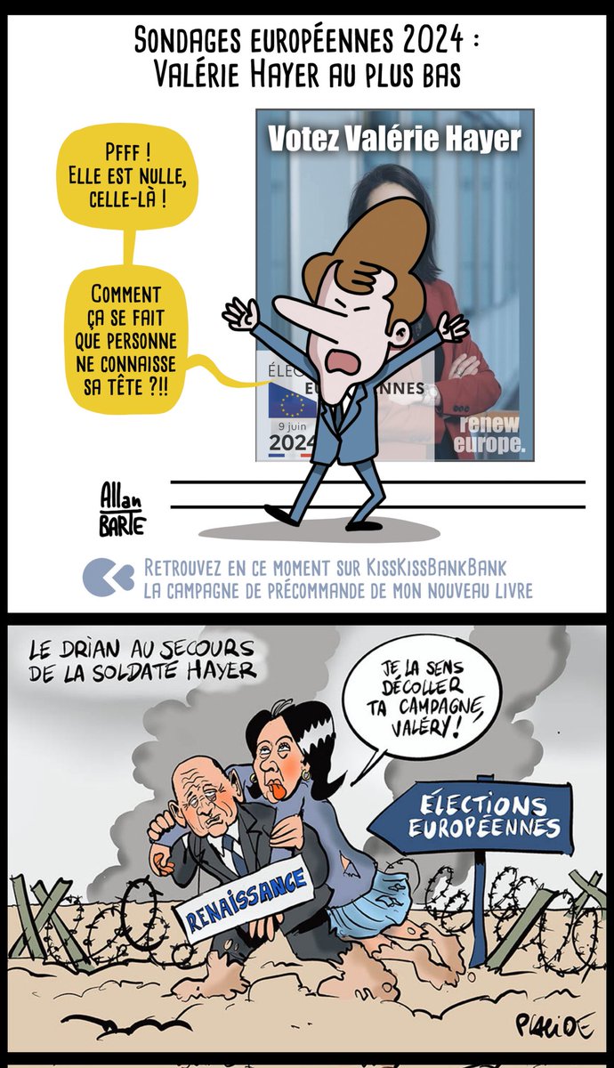 #UE #ParlementEuropéen #electionseuropeennes2024 #Macron #Hayer