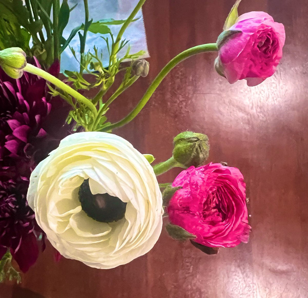 It’s ranunculus how beautiful these are.